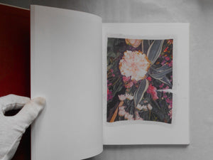 Swaying flowers | Ayaka Endo | Roshin books 2023 [SIGNED]