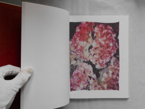 Swaying flowers | Ayaka Endo | Roshin books 2023 [SIGNED]