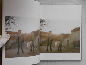 The Light / Mustang | Momo Yamanishi | Roshin books 2025 [SIGNED]