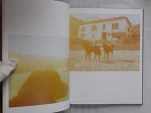 The Light / Mustang | Momo Yamanishi | Roshin books 2025 [SIGNED]