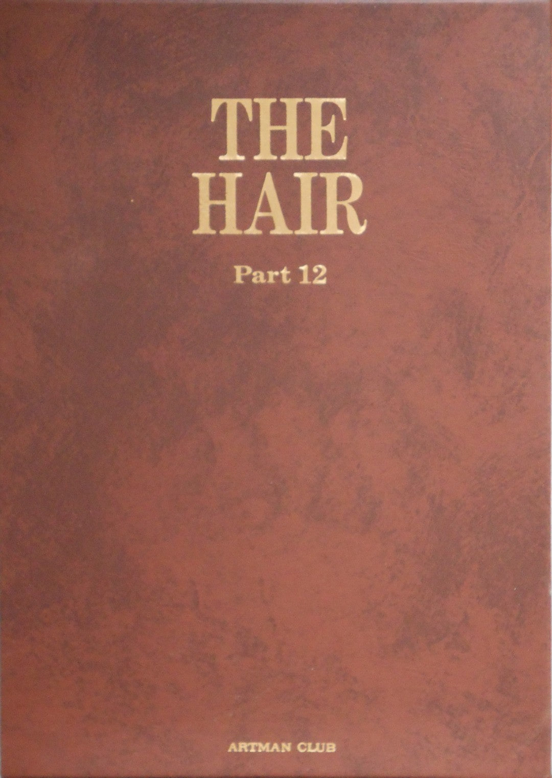 The Hair part 12 (GS version) | AA.VV. | Artman Club 1992