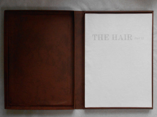 The Hair part 12 (GS version) | AA.VV. | Artman Club 1992