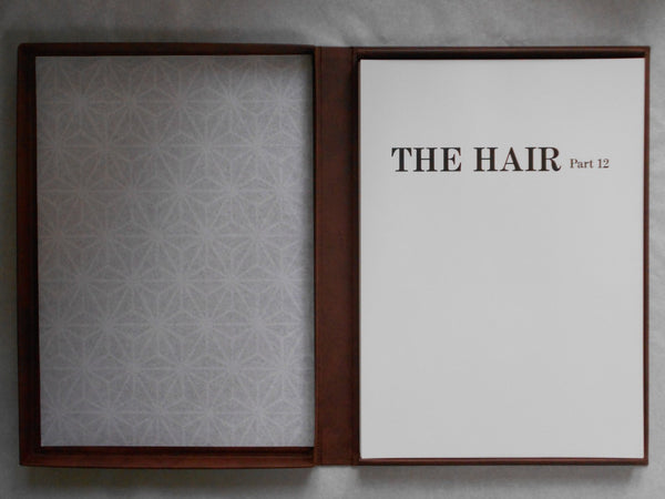 The Hair part 12 (GS version) | AA.VV. | Artman Club 1992