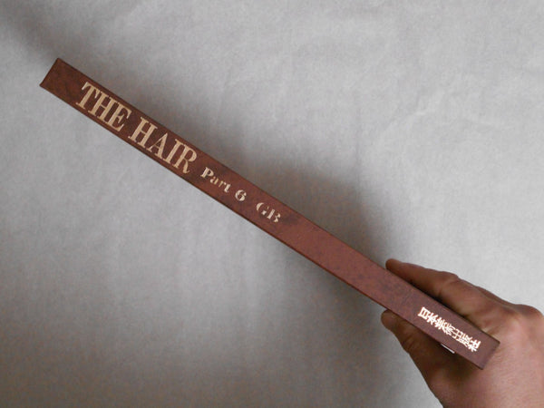 The Hair part 6 GB | AA. VV. | Nippon Geijustu Shuppan 1985