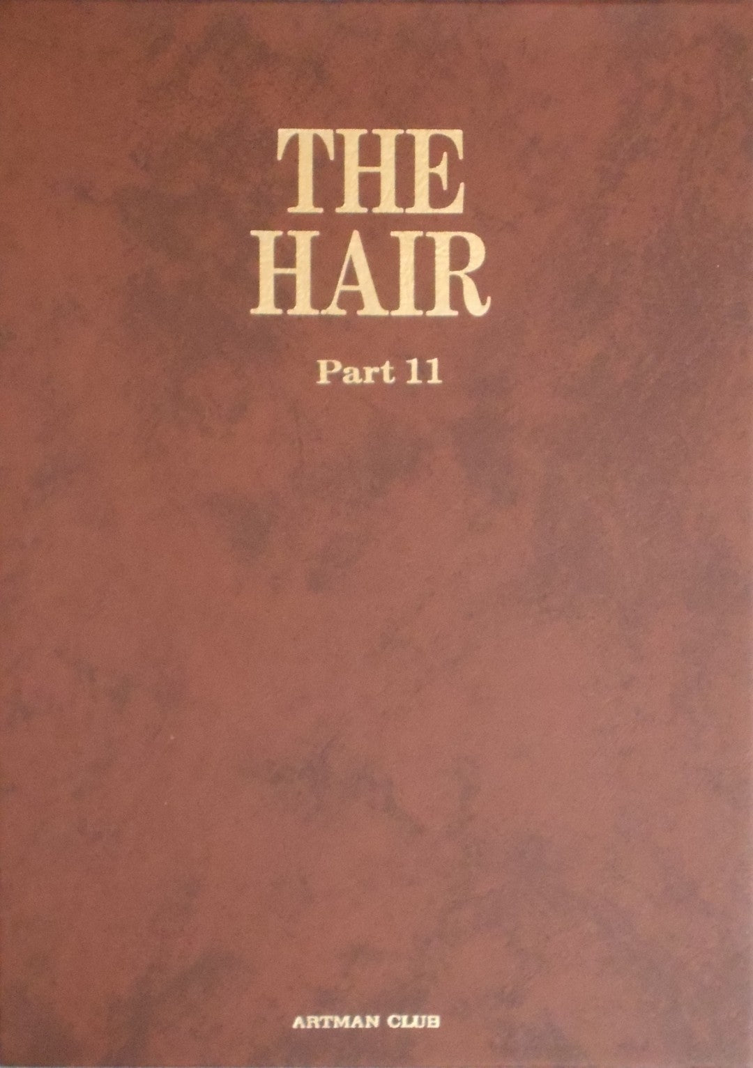 The Hair part 11 GB | AA. VV. | Artman Club 1991