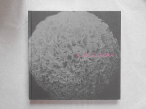Kunie Sugiura | Kunie Sugiura, Erin O'Toole | MACK 2025 [SIGNED]