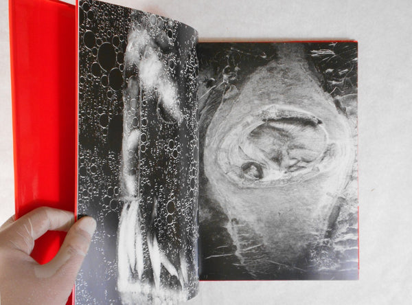 Erotos | Nobuyoshi Araki | Libro Port 1993