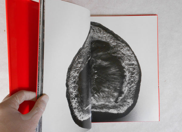 Erotos | Nobuyoshi Araki | Libro Port 1993