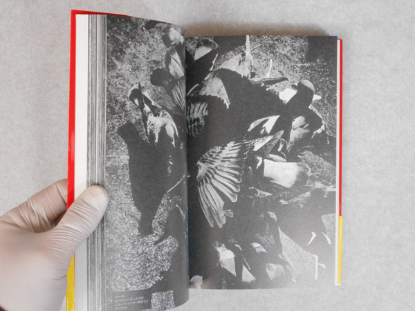 "Shashin Jidai" no Jidai! | Iizawa Kotaro, Nobuyoshi Araki et. al. | Hakusuisha 2003