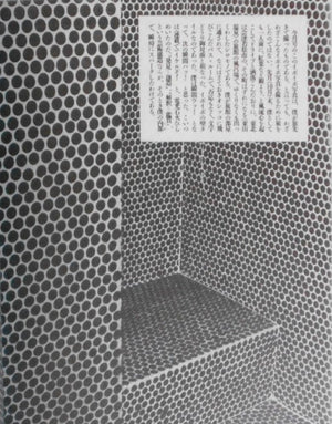"Shashin Jidai" no Jidai! | Iizawa Kotaro, Nobuyoshi Araki et. al. | Hakusuisha 2003