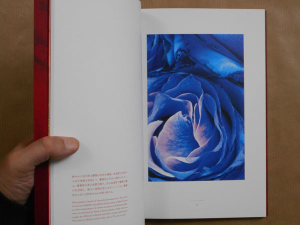Kioku no hana | Sarah Fujiwara | Fugensha 2025