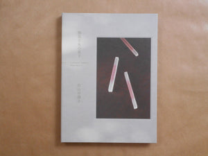 Confections by Okashimaru | Sayoko Sugiyama, Shu Fujita, Takeru Koroda | Torch press 2024