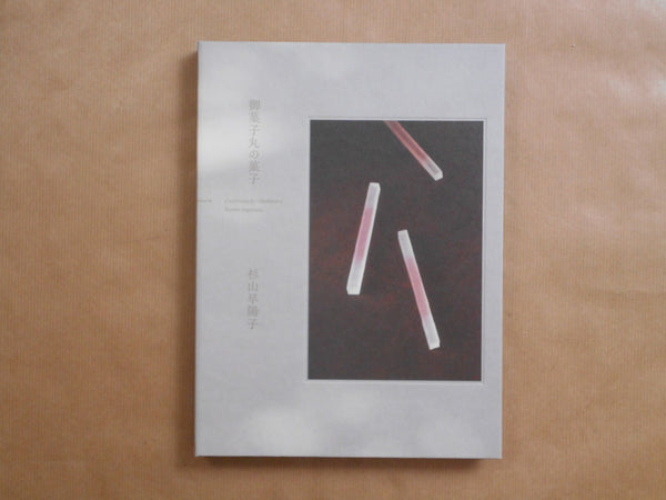 Confections by Okashimaru | Sayoko Sugiyama, Shu Fujita, Takeru Koroda | Torch press 2024