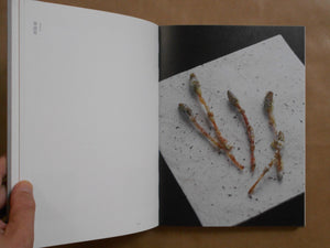 Confections by Okashimaru | Sayoko Sugiyama, Shu Fujita, Takeru Koroda | Torch press 2024