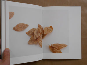 Confections by Okashimaru | Sayoko Sugiyama, Shu Fujita, Takeru Koroda | Torch press 2024
