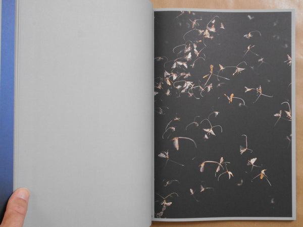 Sense of Presence | Rogier Maaskant | The Eriskay Connection 2024