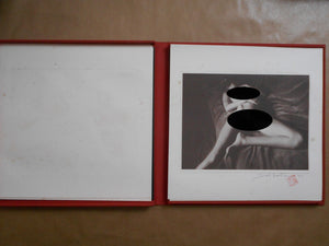 David Hamilton Portfolio (red) | David Hamilton | Artman Club