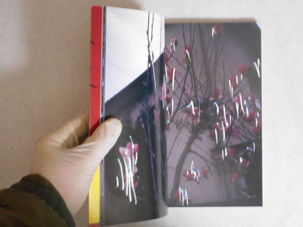 The works of Nobuyoshi Araki complete set | Nobuyoshi Araki | Heibonsha 1996-1997