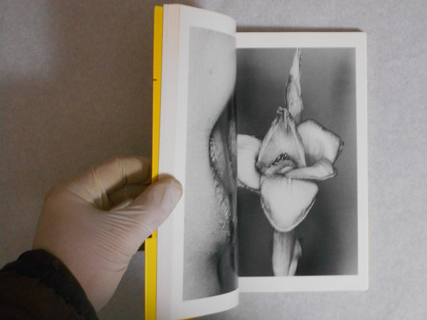 The works of Nobuyoshi Araki complete set | Nobuyoshi Araki | Heibonsha 1996-1997