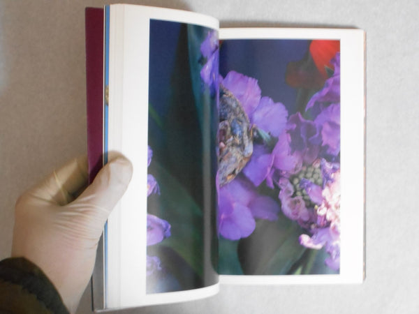 The works of Nobuyoshi Araki complete set | Nobuyoshi Araki | Heibonsha 1996-1997