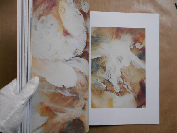 Love Want magazine vol. 9 | Bec Parsons, Bartolomeo Celestino et. al. | Love Want 2015