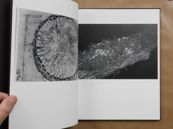 Chorus of chicadas | Tatsuya Hirabayashi | Sokyusha 2025 [SIGNED]