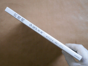 Alice special edition | Hajime Sawatari | Kawade Shobo Shinsha 2014