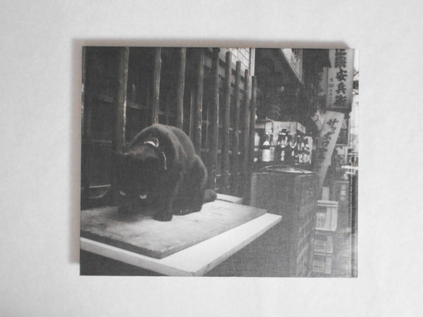 Tokyo on the brink of sanity, Kuruoshii to Tokyo | Yoshio Mizoguchi | Sokyusha 2022 [SIGNED]
