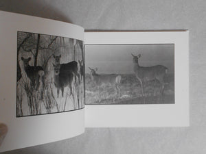 Shikawatari, Deer crossing | Chieko Shiraishi | Sokyusha 2020 [THIRD PRINTING] [SIGNED]