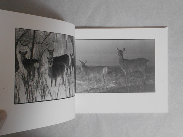Shikawatari, Deer crossing | Chieko Shiraishi | Sokyusha 2020 [THIRD PRINTING] [SIGNED]