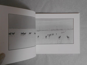 Shikawatari, Deer crossing | Chieko Shiraishi | Sokyusha 2020 [THIRD PRINTING] [SIGNED]
