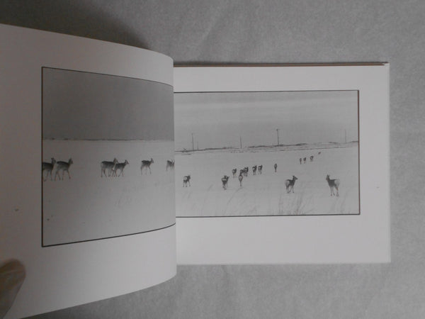 Shikawatari, Deer crossing | Chieko Shiraishi | Sokyusha 2020 [THIRD PRINTING] [SIGNED]