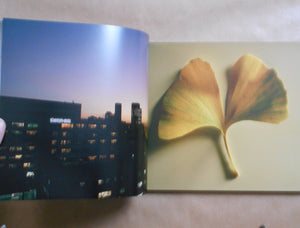 a little bit | Kyohei Hattori | Shaba 2025