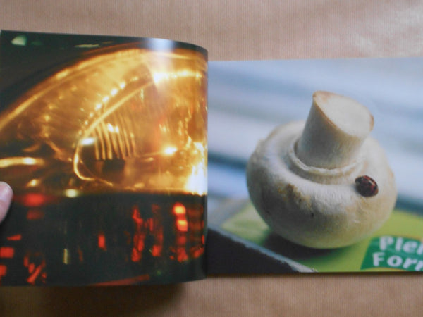 a little bit | Kyohei Hattori | Shaba 2025