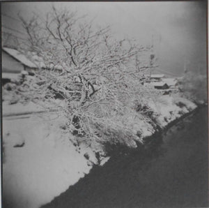 The Baku swims in dreams | Takashi Hara | Sokyusha 2023 [SIGNED]