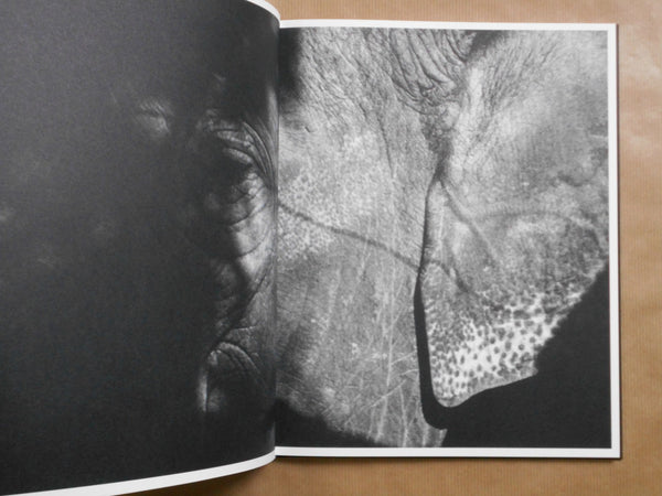 Entendue | Charlotte Dumas | Fw:Books 2025