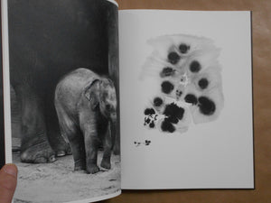 Entendue | Charlotte Dumas | Fw:Books 2025