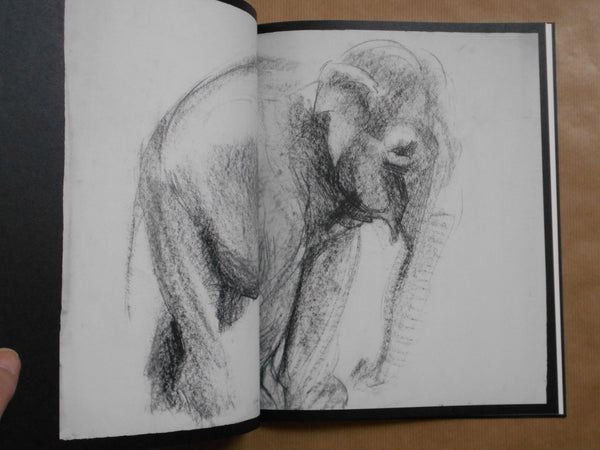 Entendue | Charlotte Dumas | Fw:Books 2025