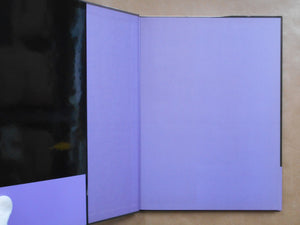 Mon Ame | Yoji Ishikawa | Fuga Shobo 1994