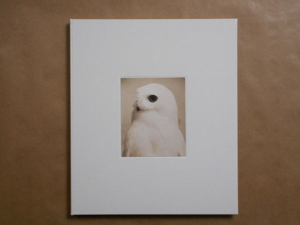 Yamamoto Masao | Masao Yamamoto | kiku label 2025 [SIGNED]