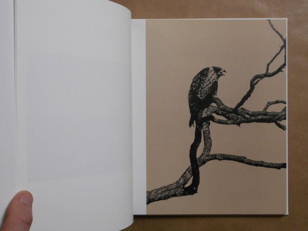 Yamamoto Masao | Masao Yamamoto | kiku label 2025 [SIGNED]