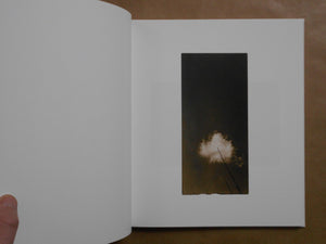 Yamamoto Masao | Masao Yamamoto | kiku label 2025 [SIGNED]