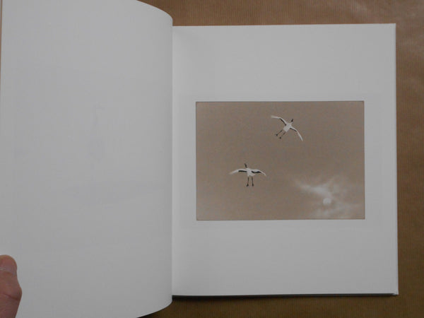 Yamamoto Masao | Masao Yamamoto | kiku label 2025 [SIGNED]