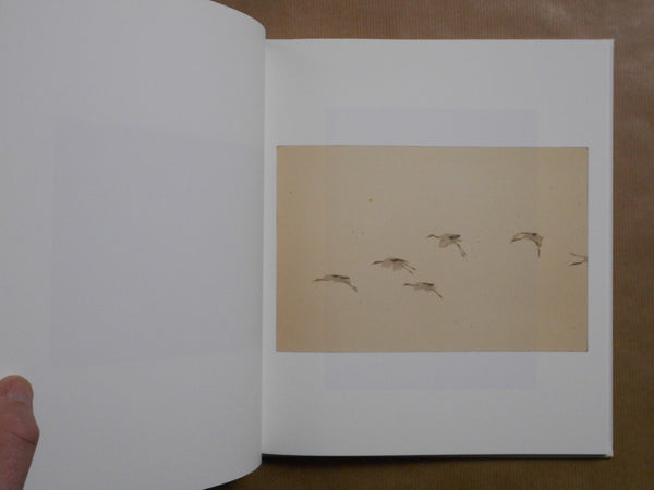 Yamamoto Masao | Masao Yamamoto | kiku label 2025 [SIGNED]