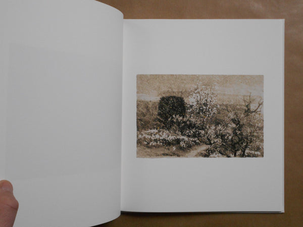 Yamamoto Masao | Masao Yamamoto | kiku label 2025 [SIGNED]