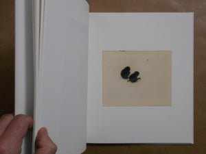 Yamamoto Masao | Masao Yamamoto | kiku label 2025 [SIGNED]