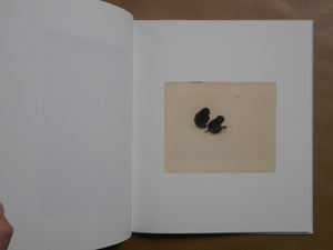 Yamamoto Masao | Masao Yamamoto | kiku label 2025 [SIGNED]