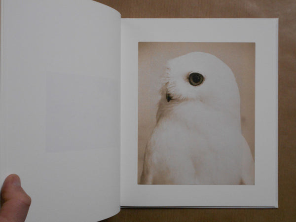 Yamamoto Masao | Masao Yamamoto | kiku label 2025 [SIGNED]