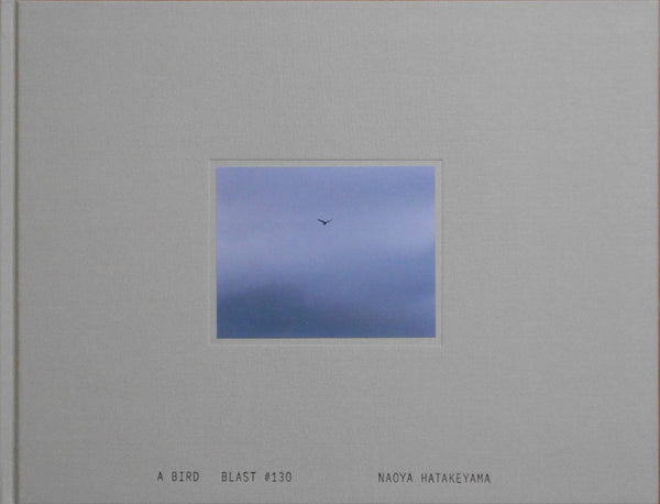 A Bird, Blast #130 | Naoya Hatakeyama | Roshin books 2025 [SIGNED]