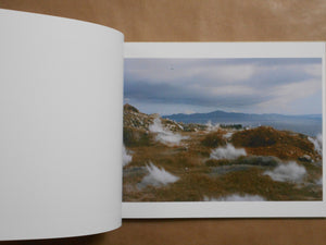 A Bird, Blast #130 | Naoya Hatakeyama | Roshin books 2025 [SIGNED]